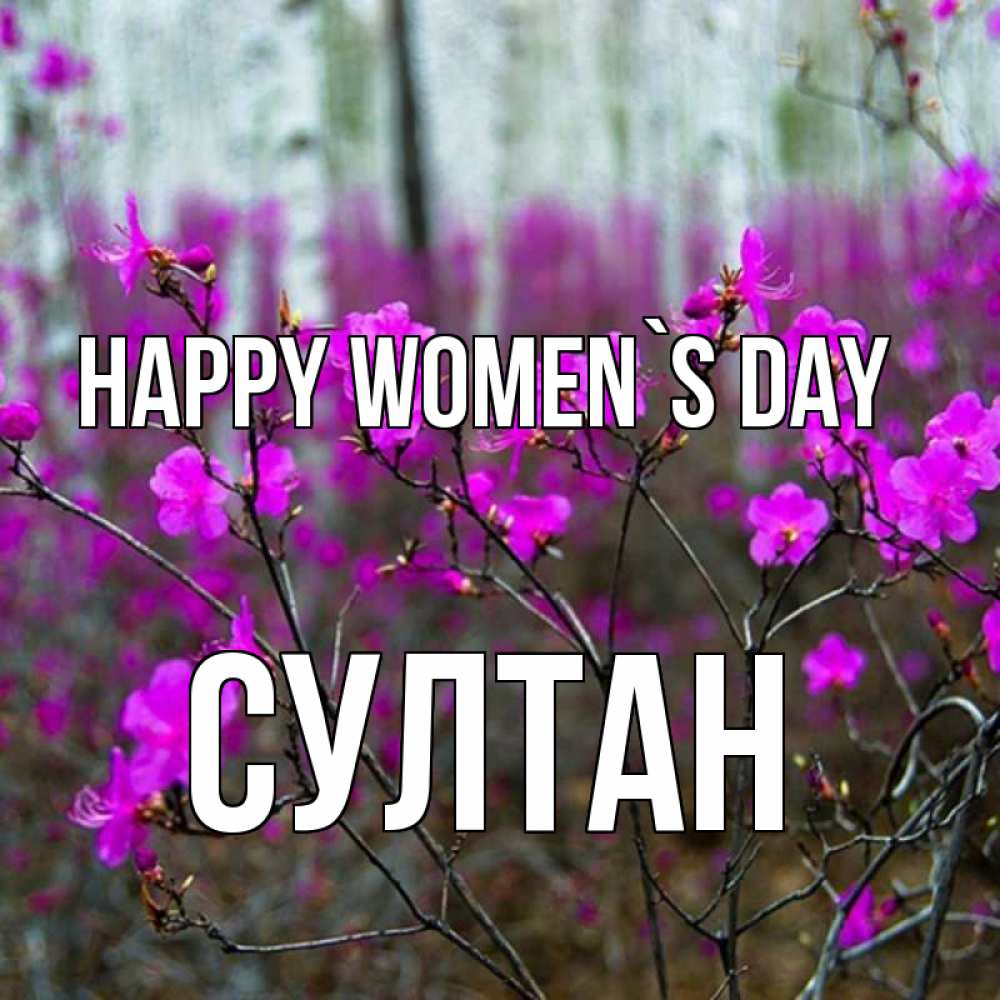 Greetings card с именем, Султан happy women`s day дикие цветы Greetings with text for free download 
